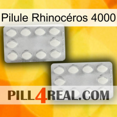 Pilule Rhinocéros 4000 17